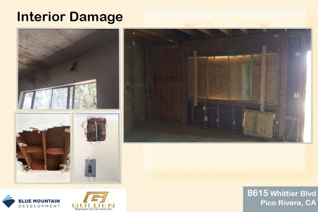 golden management services inc reviews