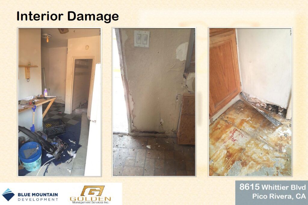 golden management services inc reviews